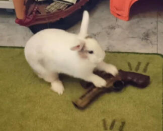 be sure to taste your words before you spit them out